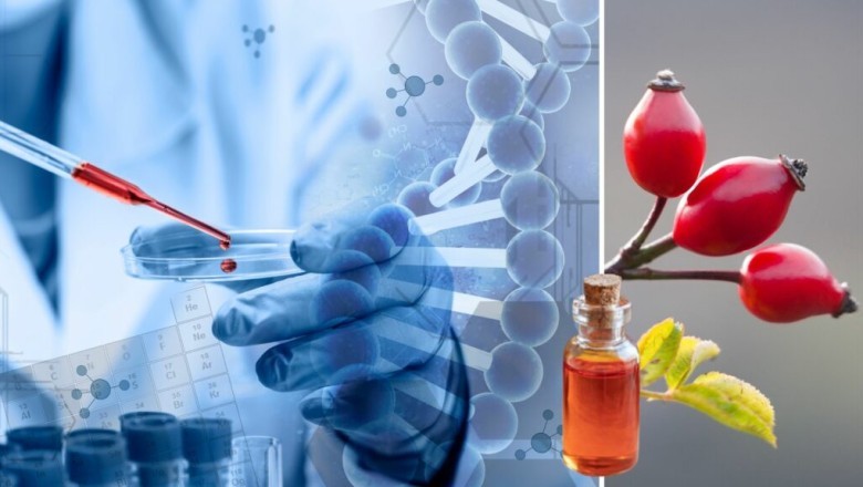 Transforme sua rotina de beleza com a Rosa Mosqueta Amazônica