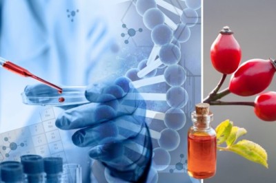 Transforme sua rotina de beleza com a Rosa Mosqueta Amazônica